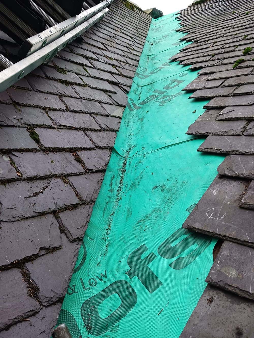 Removal of moss from a roof