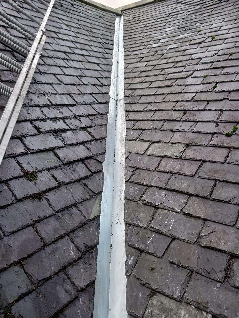 Roof after moss removal